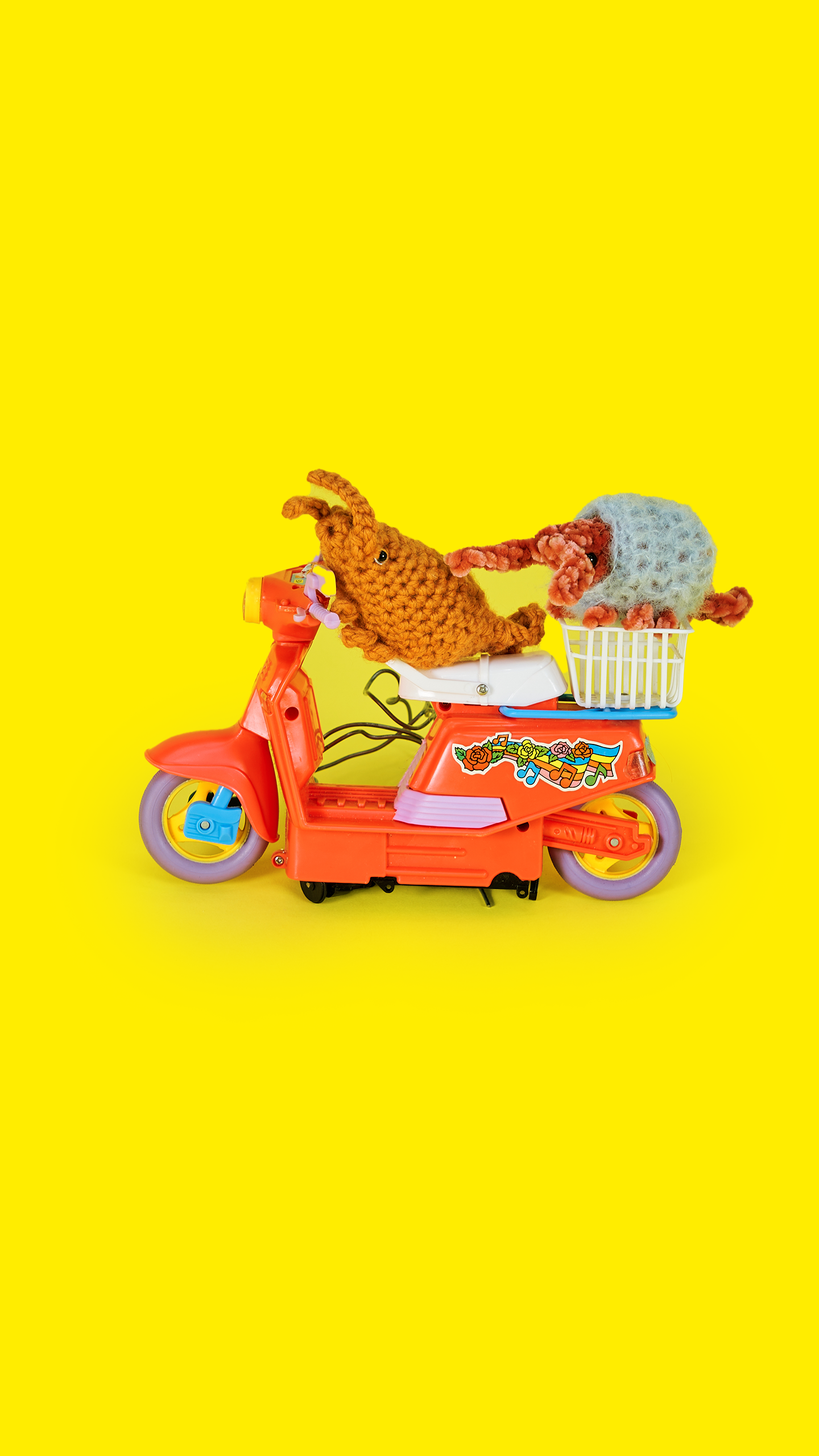 Sammy, der Shrimp - Innere Ruhe & Geborgenheit